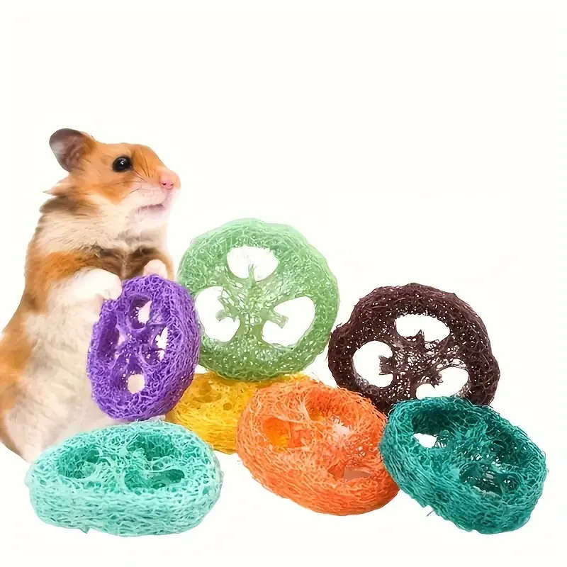 Dog Chew Toys