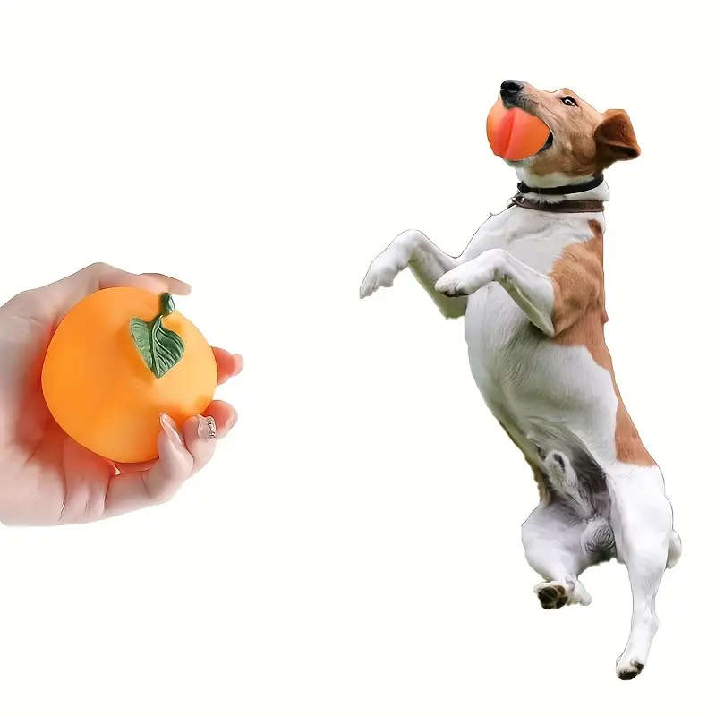 Dog Chew Toys