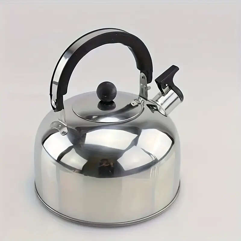 1 Piece Stainless Steel Teapot