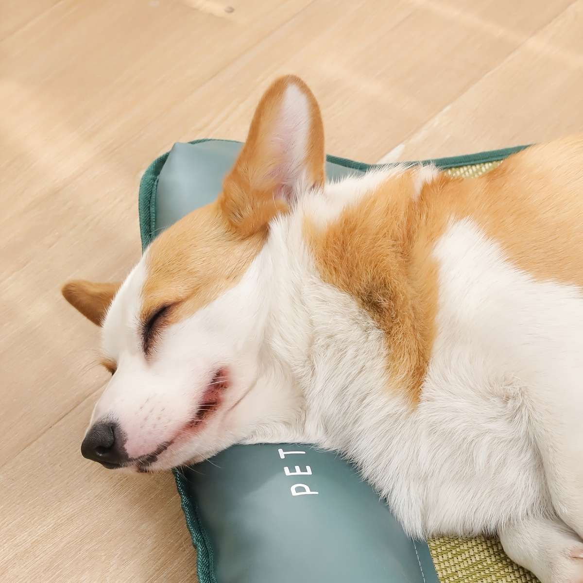 40Cm50Cm 15.75In19.69In Cooling Pad