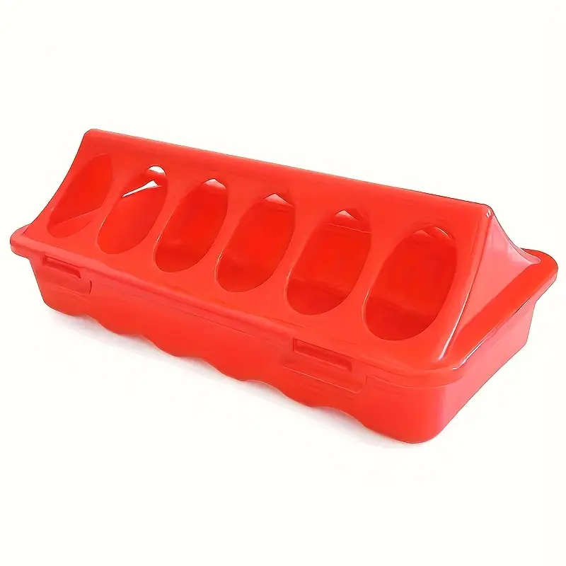 Quail Pigeon Feed Box