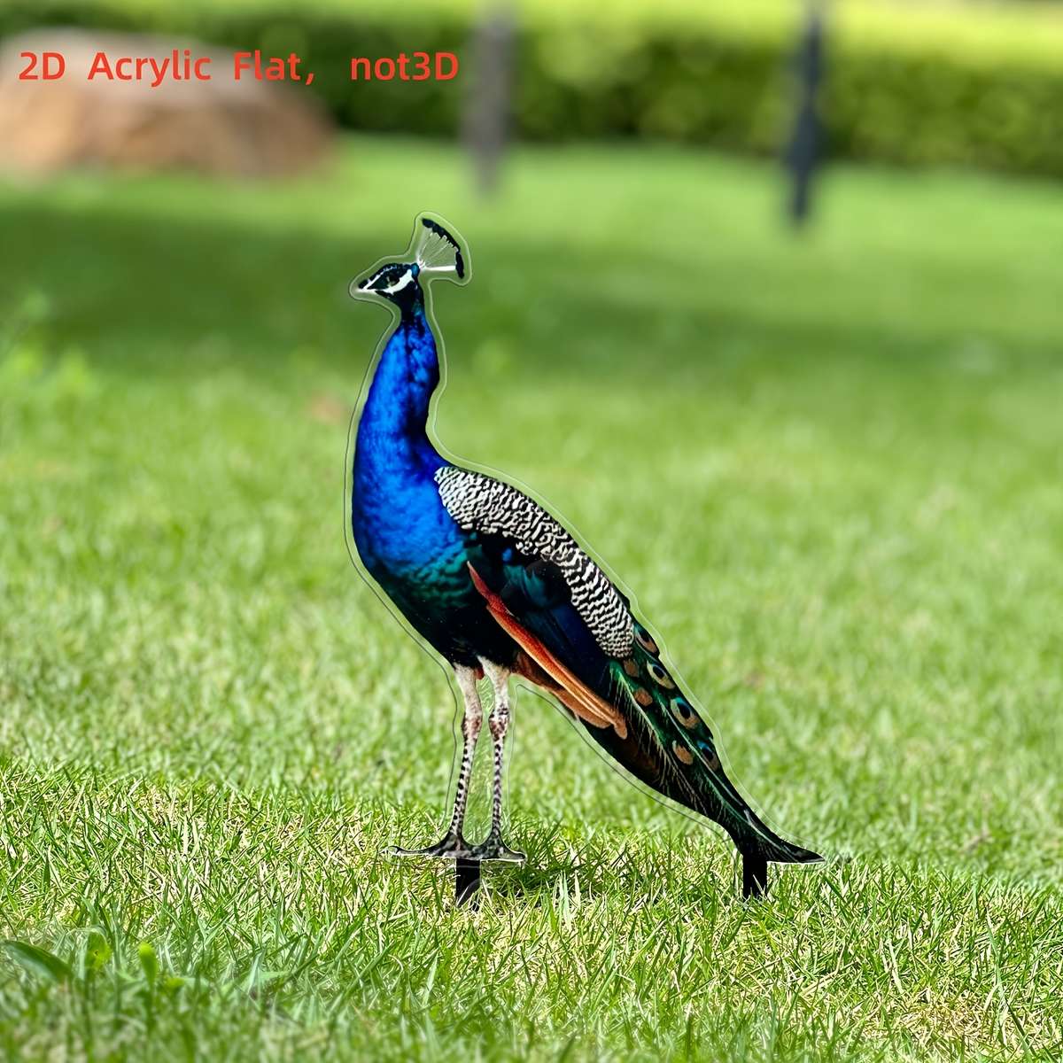 1pc 2D Flat   Vibrant  Printing Acrylic Peacock Garden Stake Durable Wind Rainproof