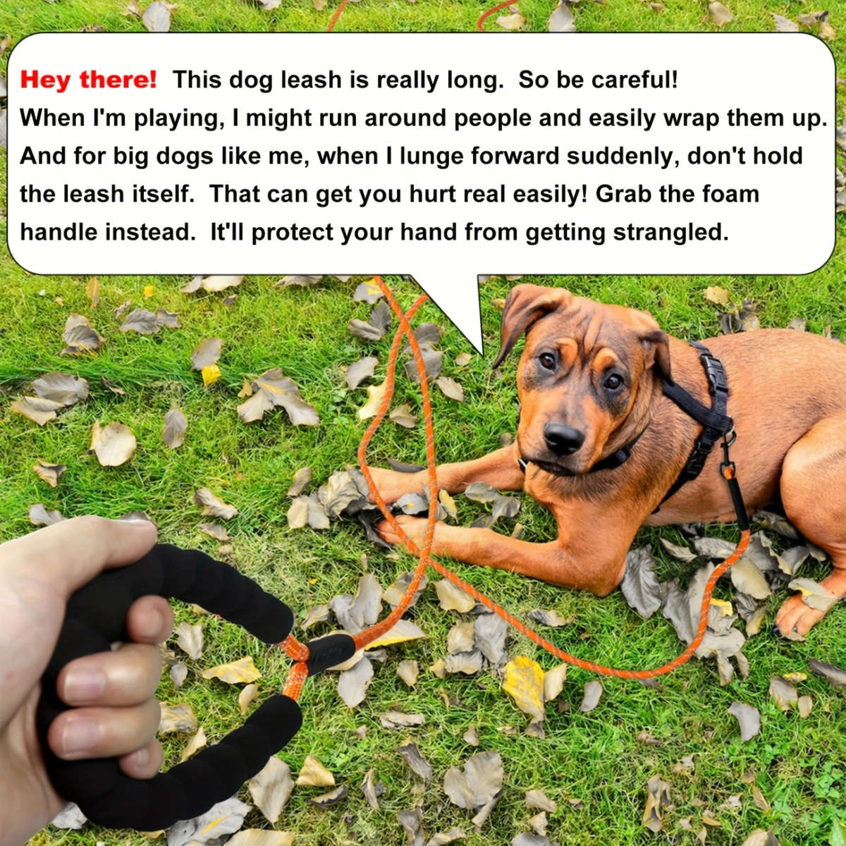 Reflective Long Leash