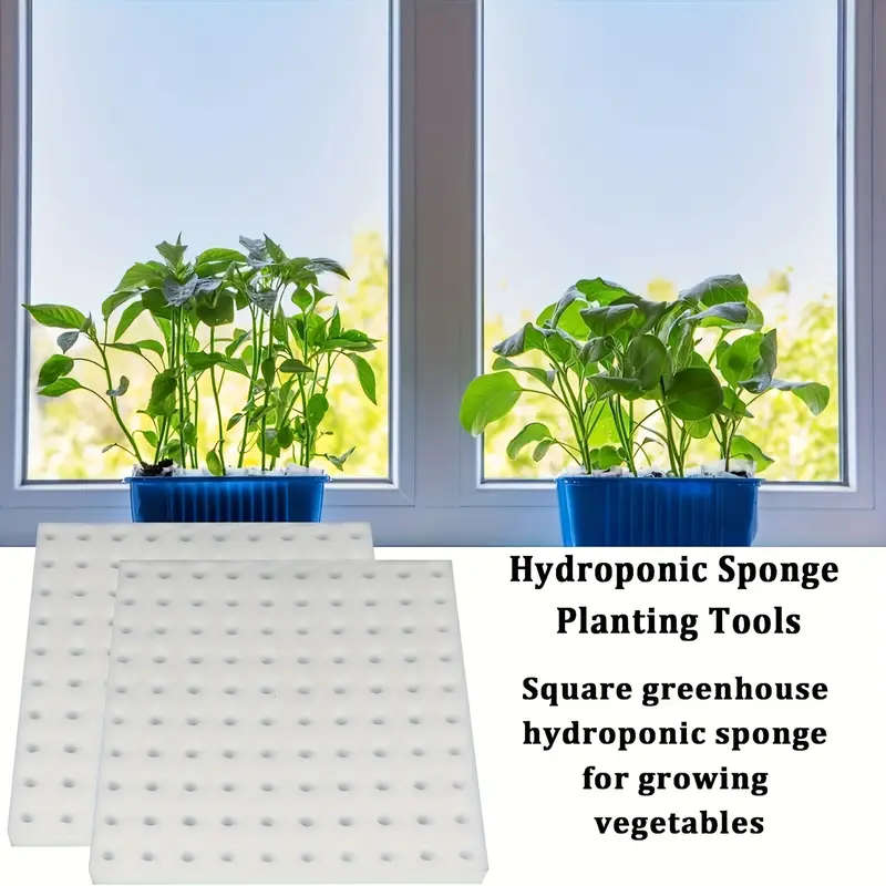 100 Packs Of Hydroponic Sponge Planting Tools