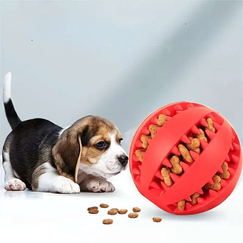 Pet Chew Toy