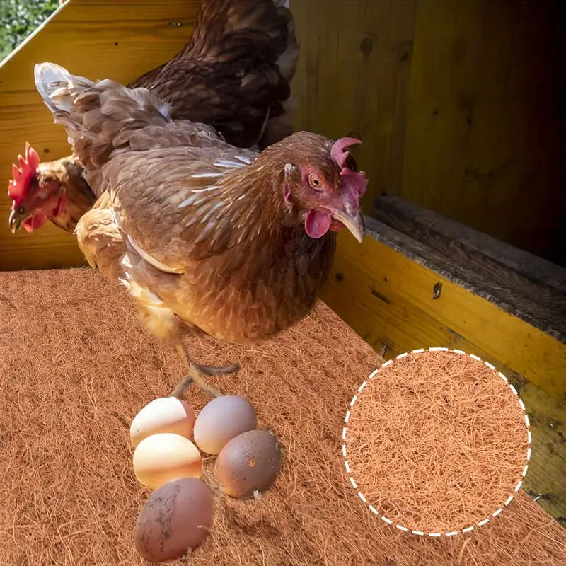 10 Pack Natural Coconut Shell Chicken Nest Mat