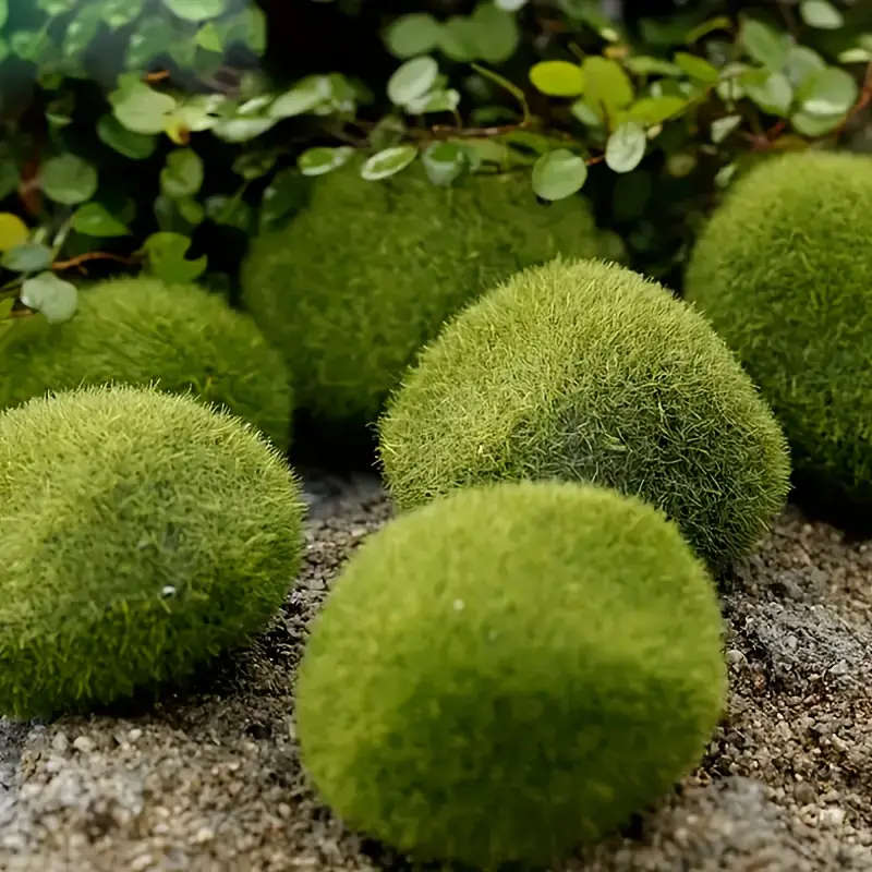 10pcs Lifelike Artificial Moss Rocks