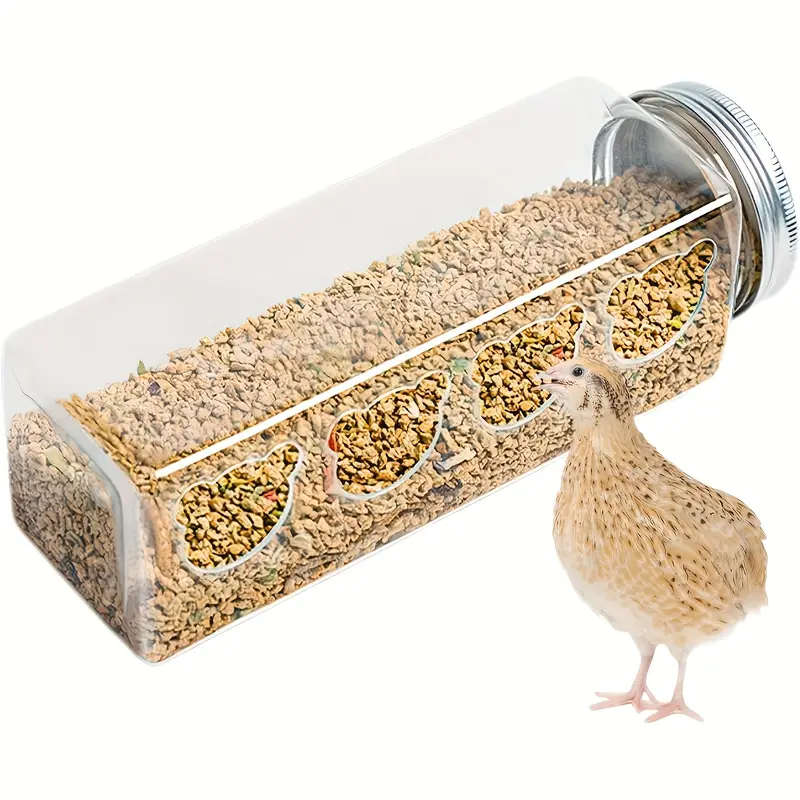 Small Bird Feeder