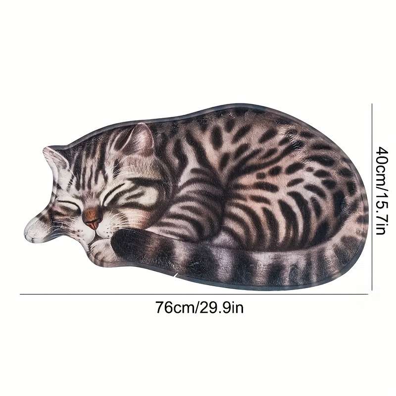 1Pc 40x76cm 15.75x30inch Floor Mat