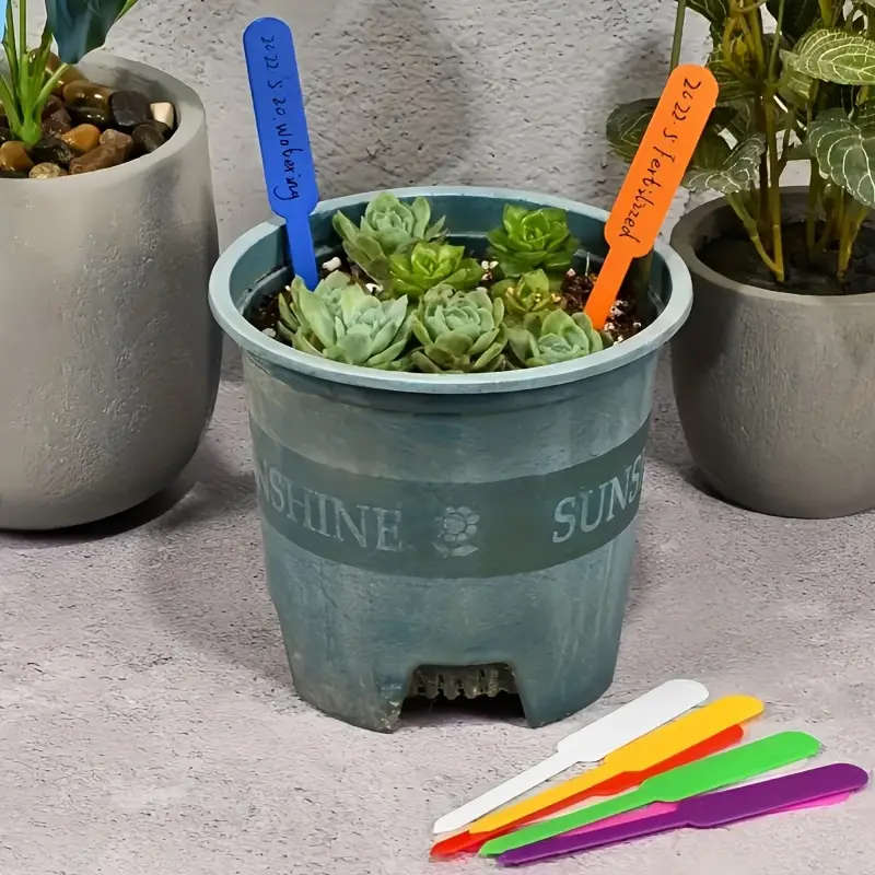 50 Thickened Plastic Labels