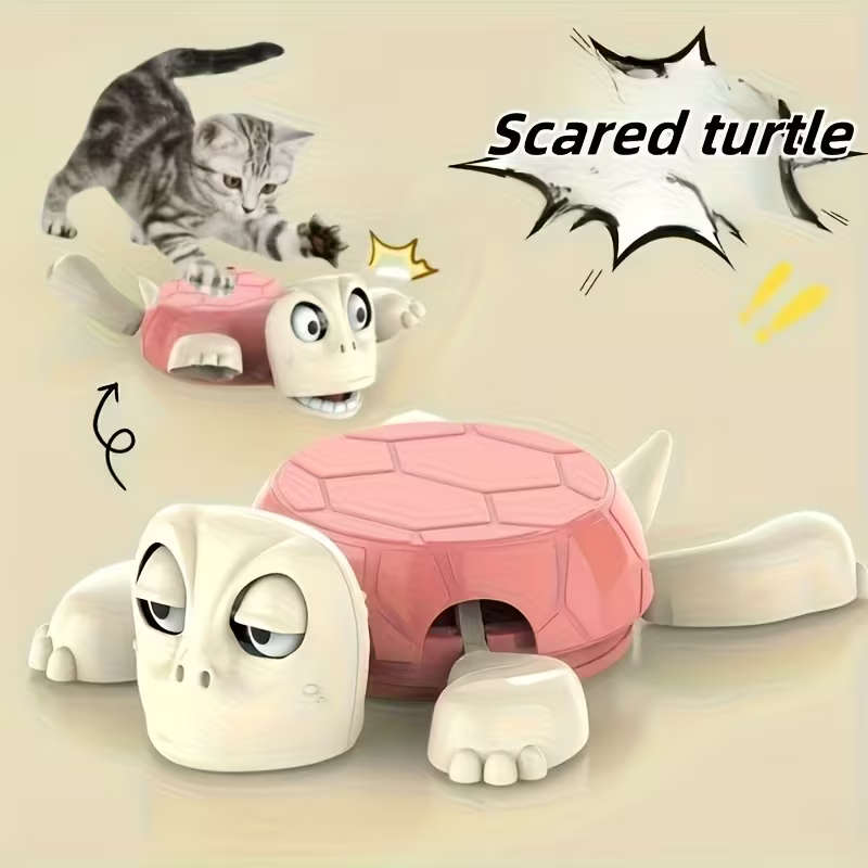 A Stunning Turtle Coaster