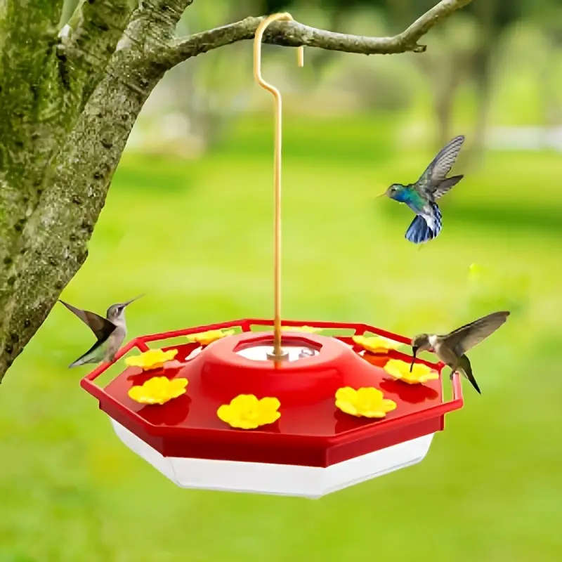 Bird Feeder