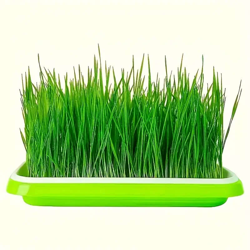 2-Piece Rapid Seed Germination Kit