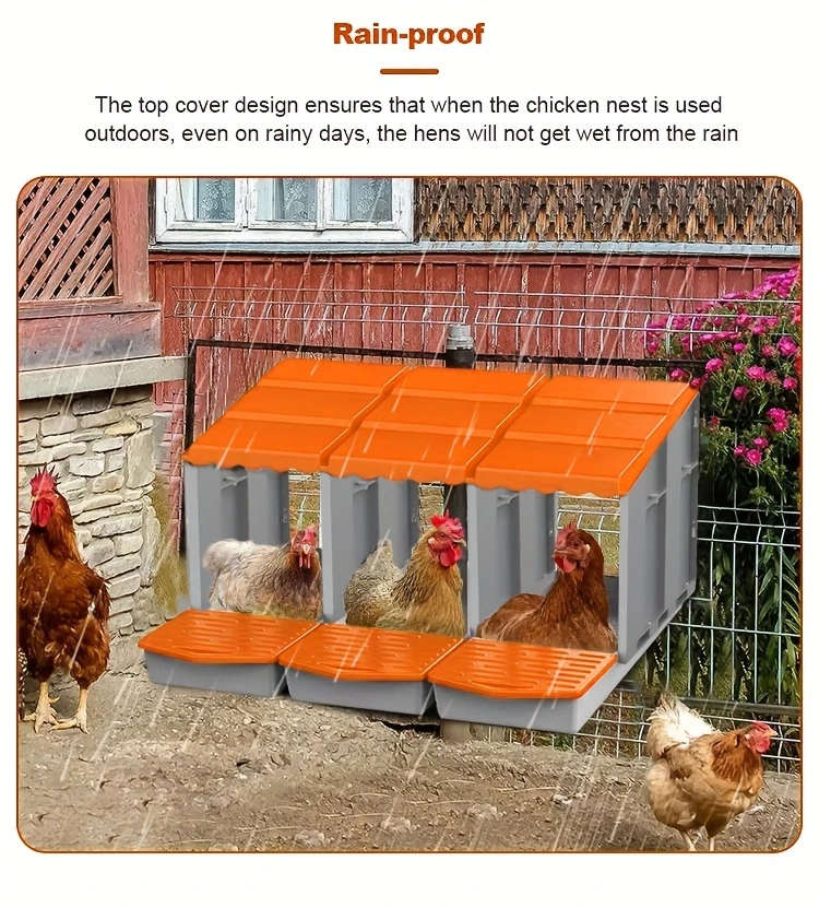 Sturdy And Durable Plastic Chicken Feeder And Waterer Set