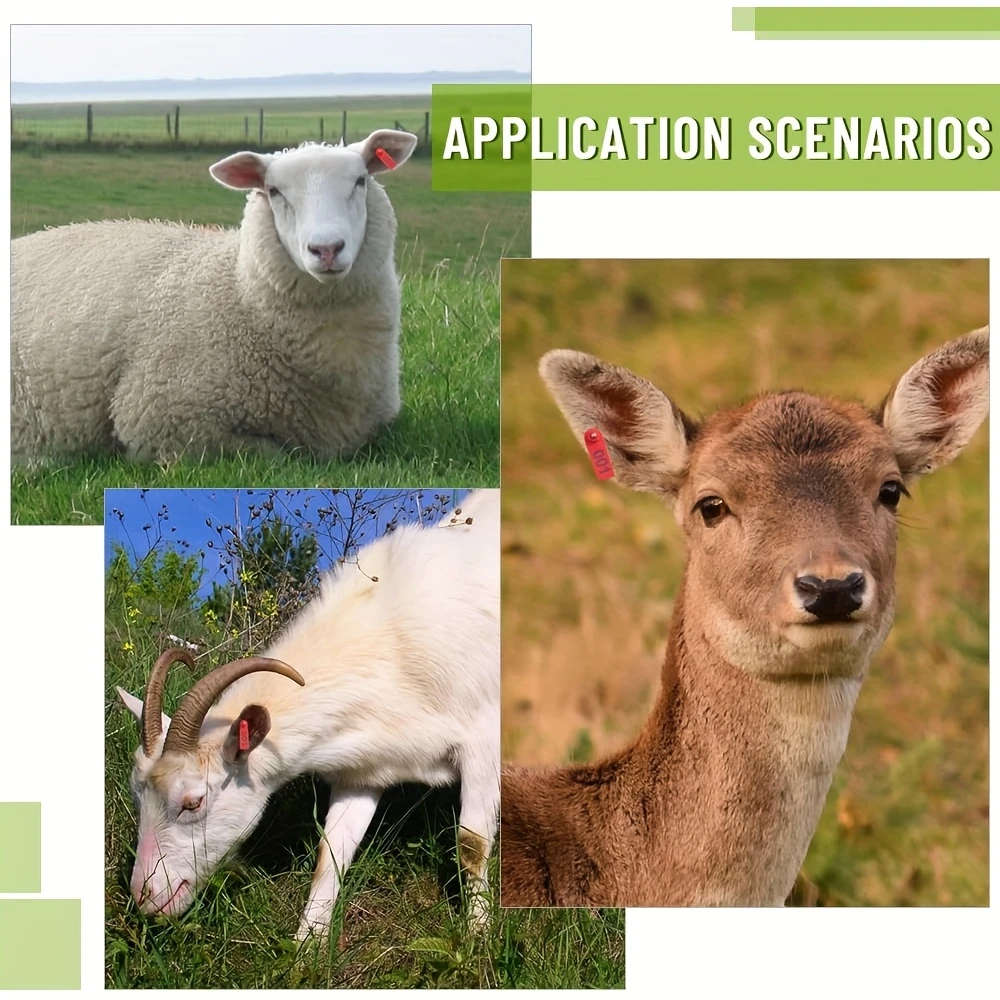 100pcs Goat Sheep Ear Tags