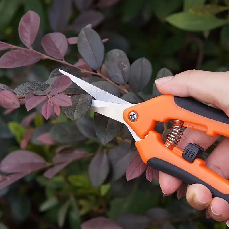 5pcs Ergonomic Garden Tool Set with Stainless Steel Pruning Shears High-Quality Blades Storage Bag P