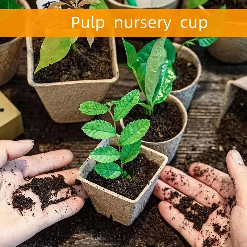 50 Pcs Square Pulp Seedling Cups With Drainage Holes