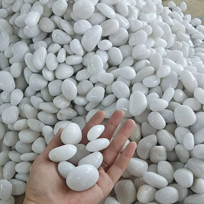 300g White River Rocks And Polished Pebbles