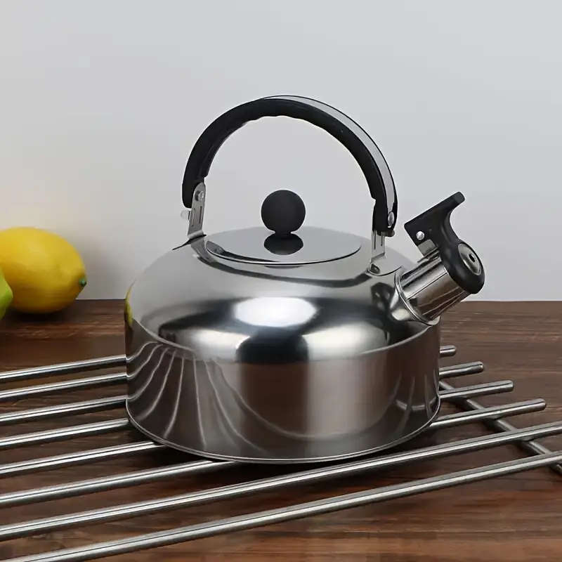1 Piece Stainless Steel Teapot
