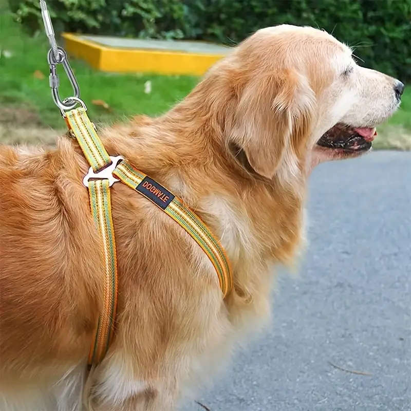 Heavy Duty Dog Leash