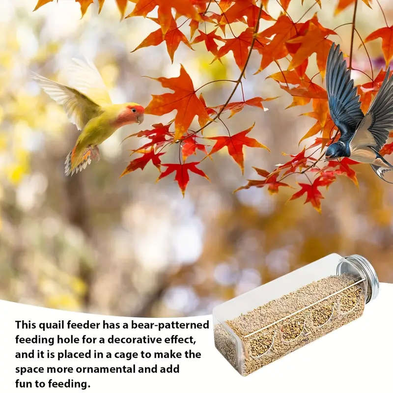 Small Bird Feeder