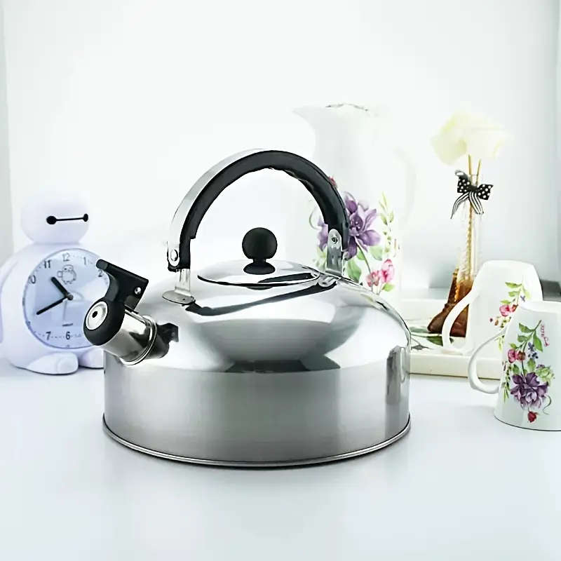 1 Piece Stainless Steel Teapot