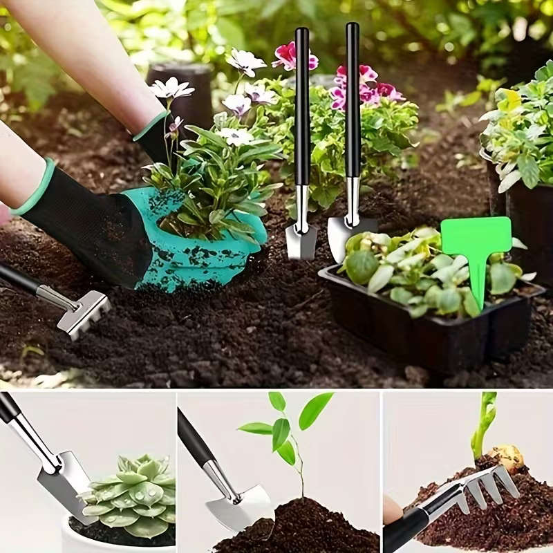 Bonsai Succulent Garden Tools Set