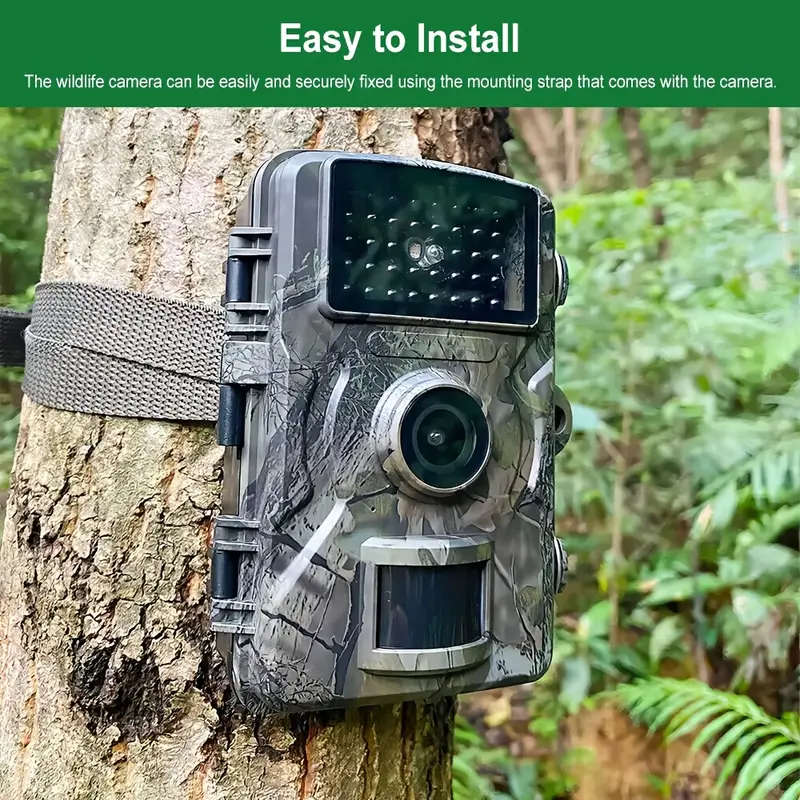HD Outdoor Wildlife Camera with Built-in Screen Display