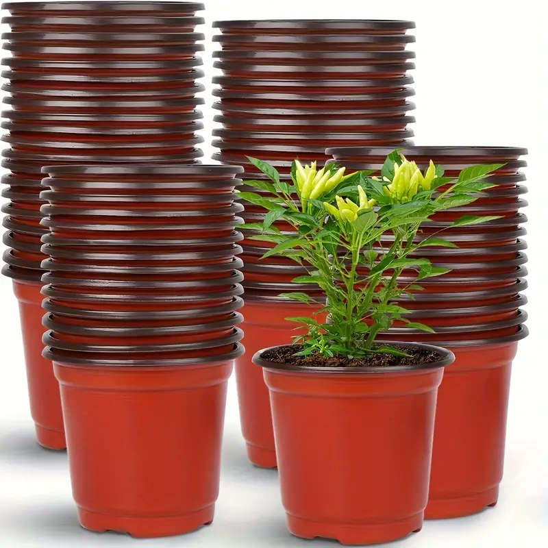 50 Pack Plastic Cone Shaped Seedling Cups
