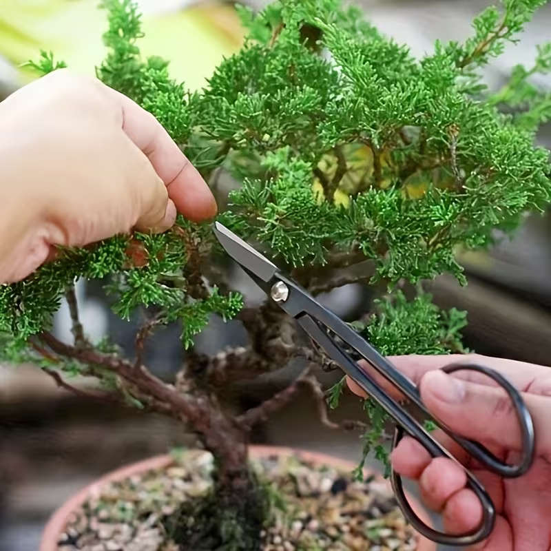 Bonsai Succulent Garden Tools Set