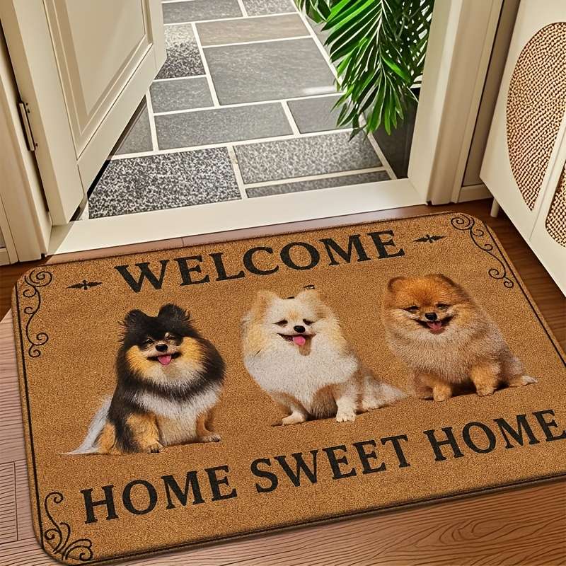 1Pc 19.70x31.50inch 50.01x80.01cm Floor Mat