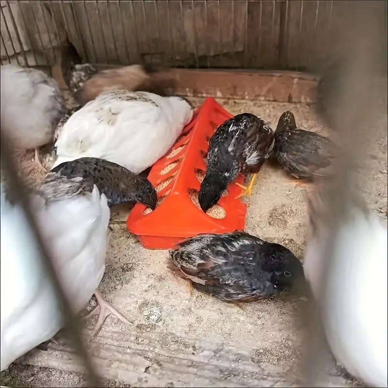 6-Piece Poultry Feeder Chicken Feeder and Drinker Set