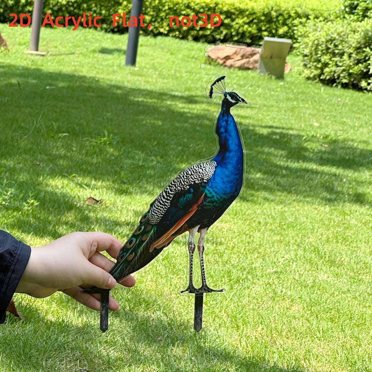 1pc 2D Flat   Vibrant  Printing Acrylic Peacock Garden Stake Durable Wind Rainproof