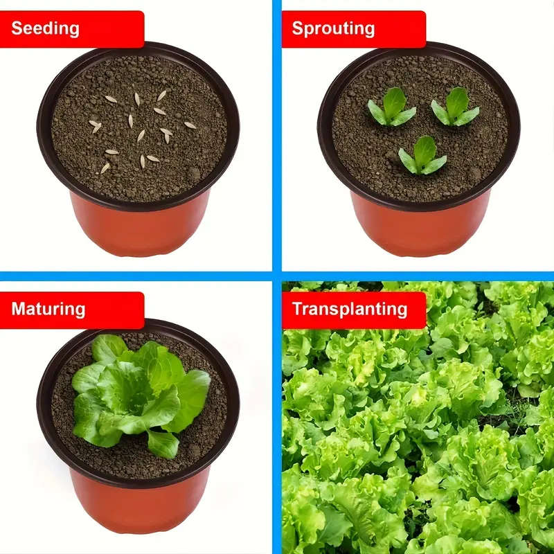 50 Pack Plastic Cone Shaped Seedling Cups