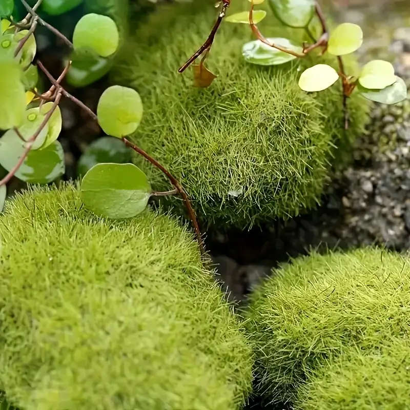 10pcs Lifelike Artificial Moss Rocks