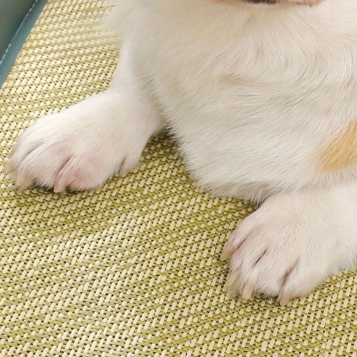 40Cm50Cm 15.75In19.69In Cooling Pad