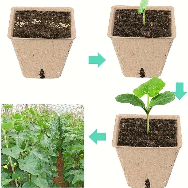 50 Pcs Square Pulp Seedling Cups With Drainage Holes