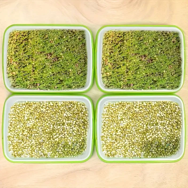 2-Piece Rapid Seed Germination Kit