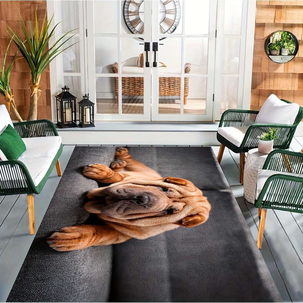 1Pc 4Ox6Ocm Floor Mat