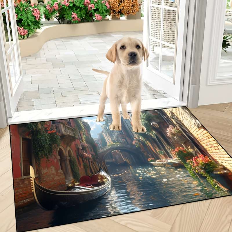 1Pc 15x23inch 40x60cm Floor Mat