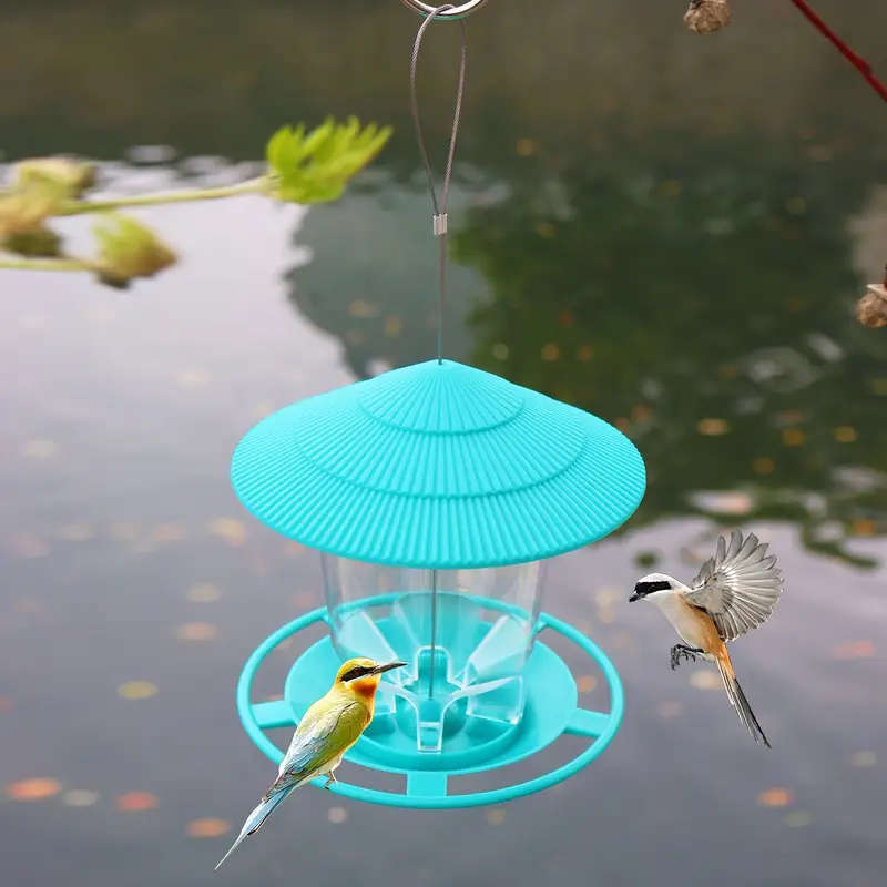Small Bird Feeder