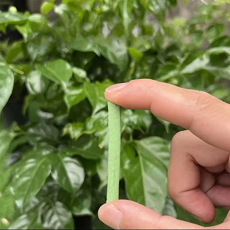 18 Plant Nutrition Bars