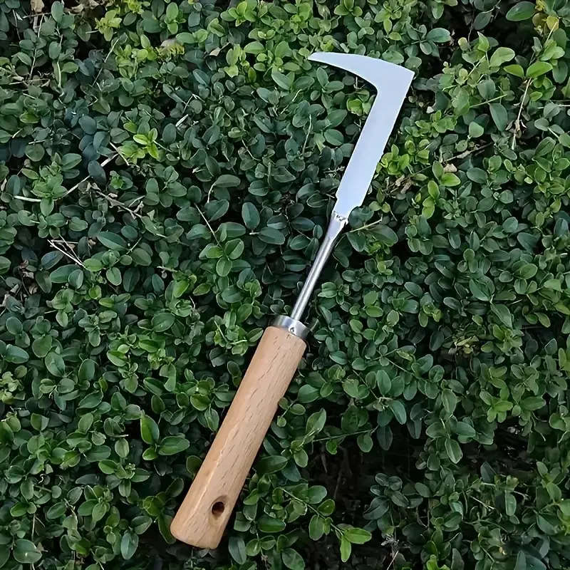 1 Stainless Steel Weeding Tool