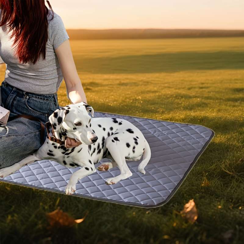 Grey Cooling Pad 120x90cm