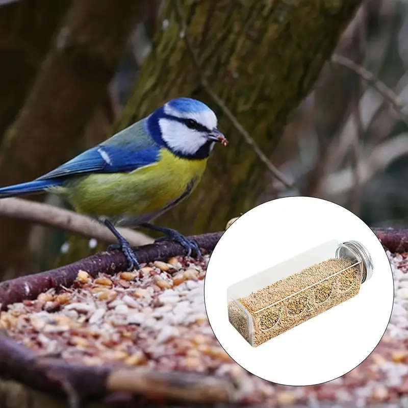 Small Bird Feeder
