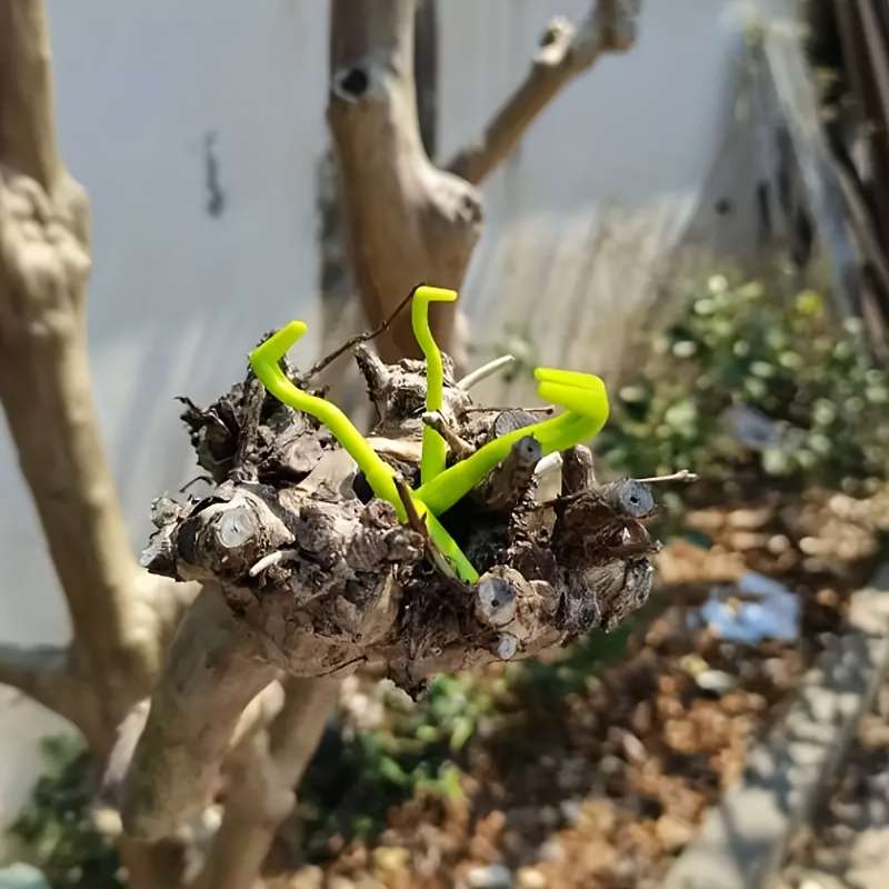 6pcs Blue Green Pet Comb