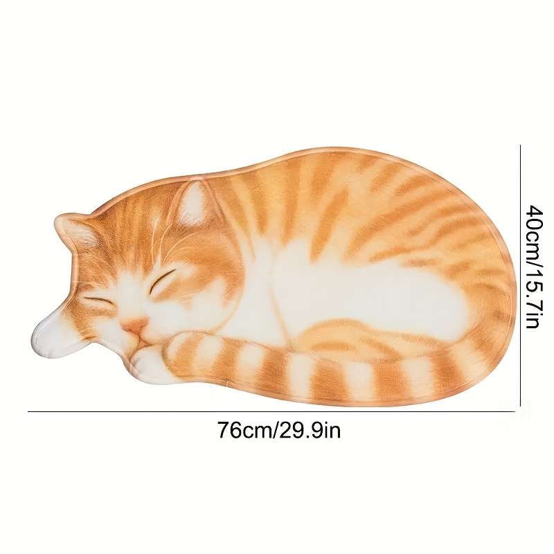 1Pc 40x76cm 15.75x30inch Floor Mat