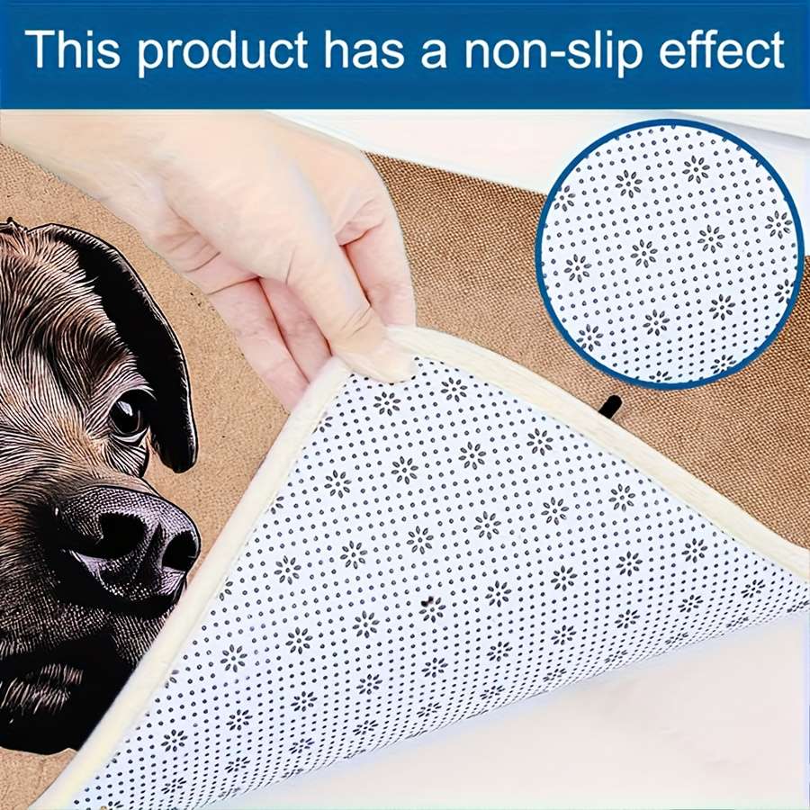 1Pc 4Ox12Ocm Floor Mat