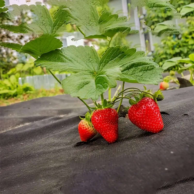 Garden Breathable Perforated Weed Control Cloth