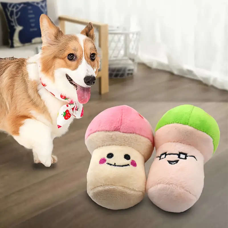Dog Chew Toys